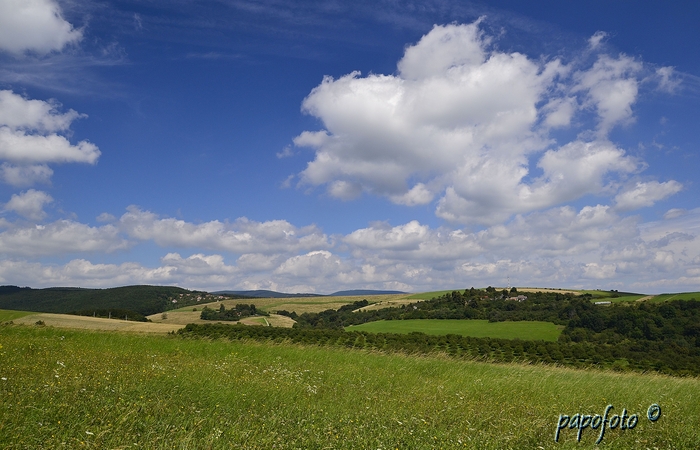 _DSC0442_hf.jpg