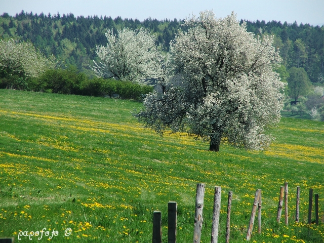 jar na kopaniciach