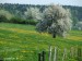 jar na kopaniciach